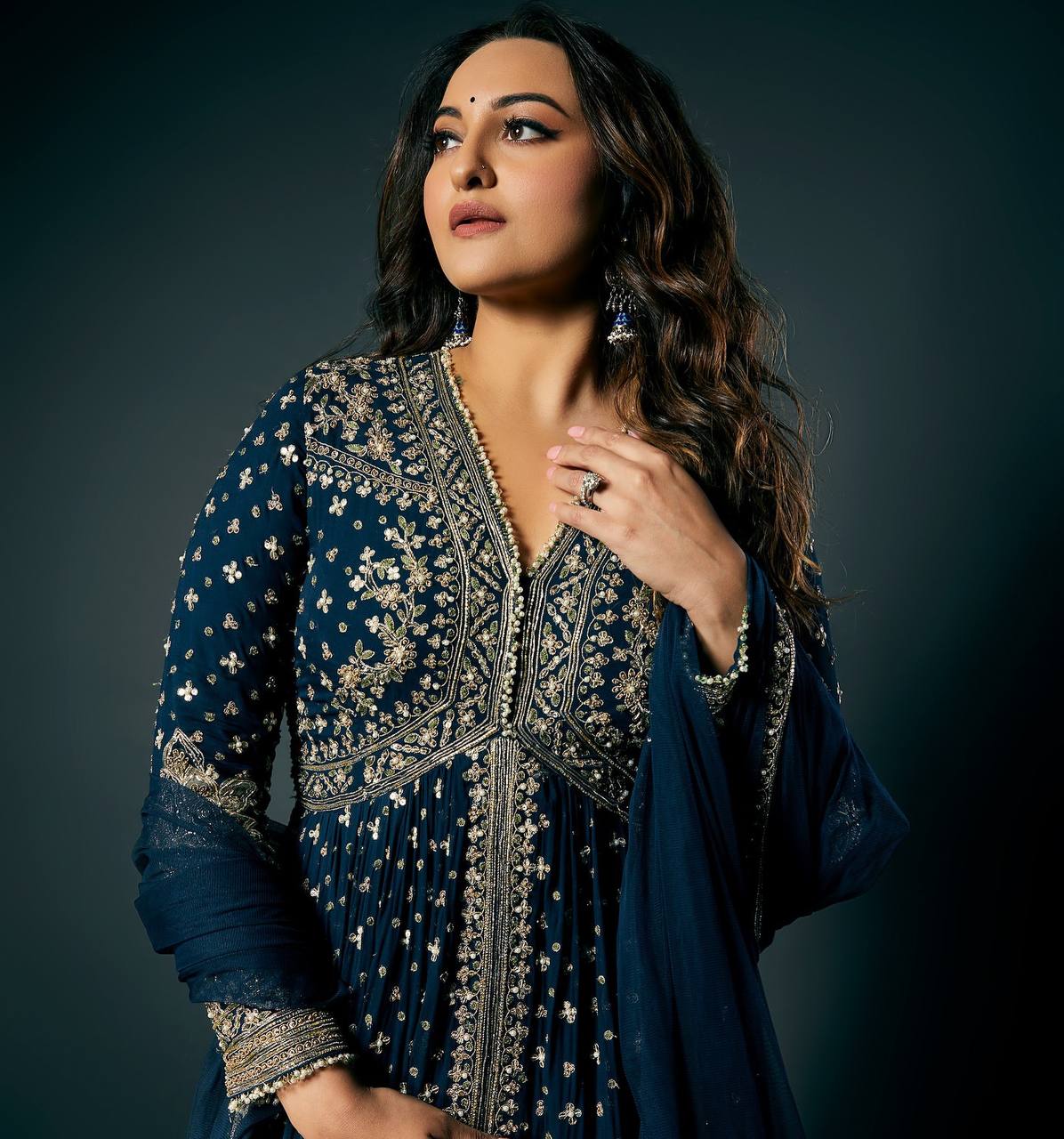 Elegant Navy Blue Embroidered Gown